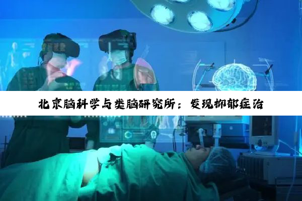 北京脑科学与类脑研究所：发现抑郁症治疗新机制