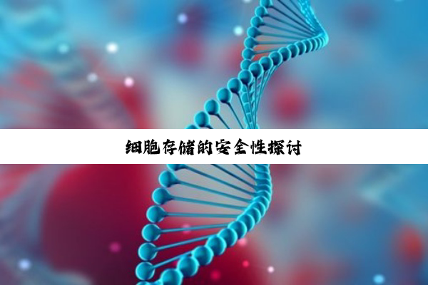 细胞存储的安全性探讨