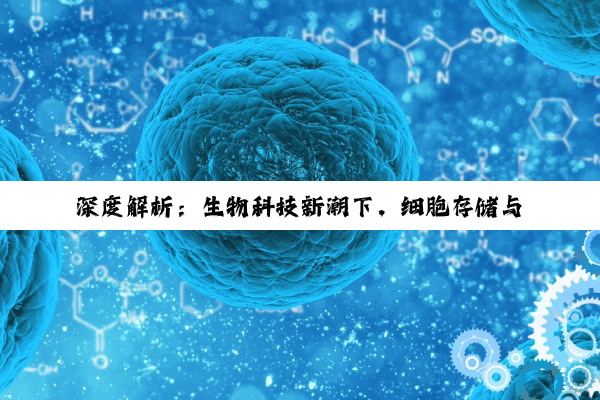 深度解析:生物科技新潮下,细胞存储与治疗企业的崛起与发展