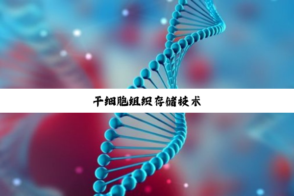 干细胞组织存储技术