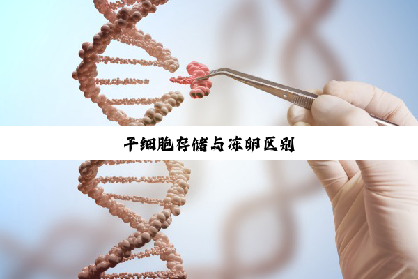 干细胞存储与冻卵区别