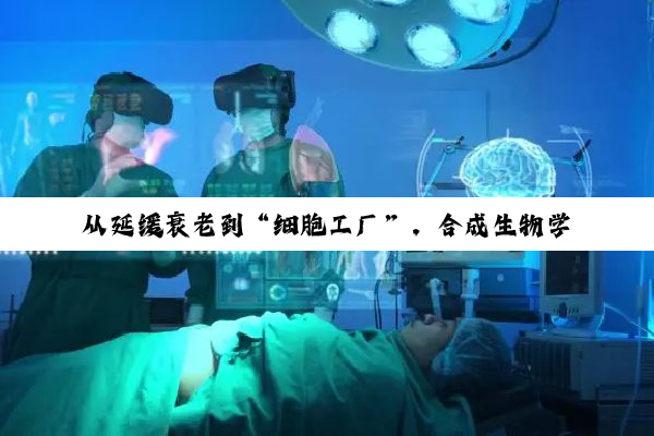 从延缓衰老到“细胞工厂”,合成生物学重构生命密码