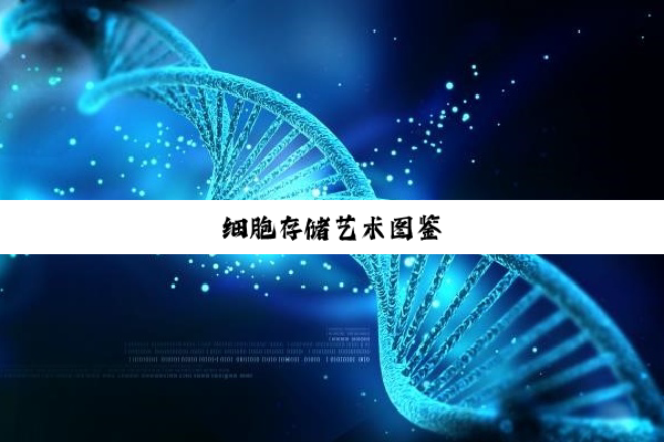 细胞存储艺术图鉴