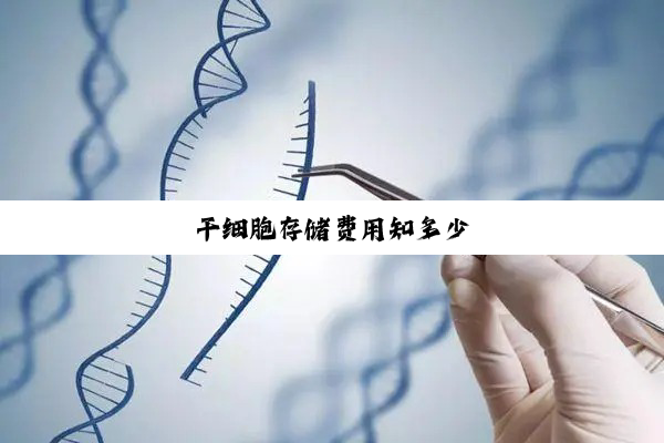 干细胞存储费用知多少