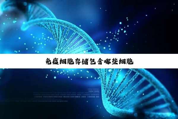 免疫细胞存储包含哪些细胞