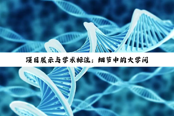 项目展示与学术标注:细节中的大学问