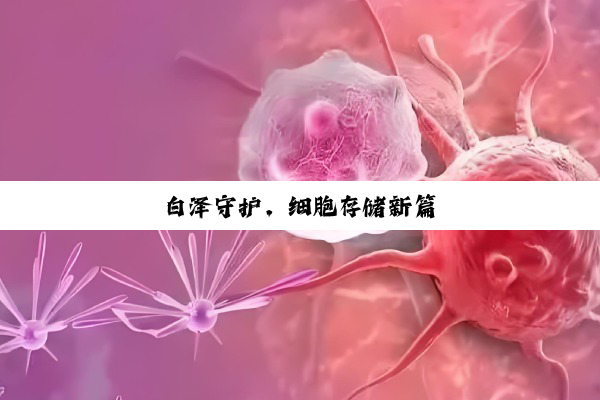 白泽守护,细胞存储新篇