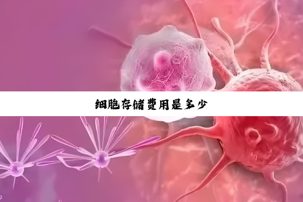细胞存储费用是多少