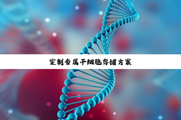定制专属干细胞存储方案