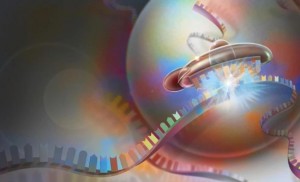 RNA研究的黄金时代：从基础机制到临床转化