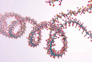 1-RNA的神秘领域——环形RNA