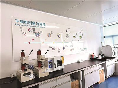 探索宠物细胞治疗的“中国方案”