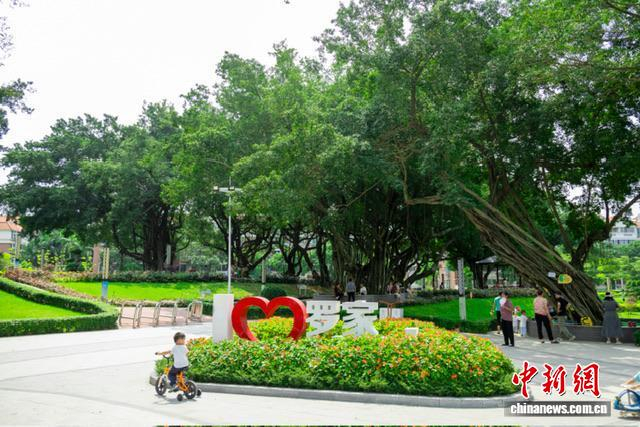 广州“美丽细胞”激活乡村新生态 罗家公园实现“绿色蝶变”