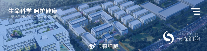 干细胞：唤醒身体内在潜能，全面提升机体机能